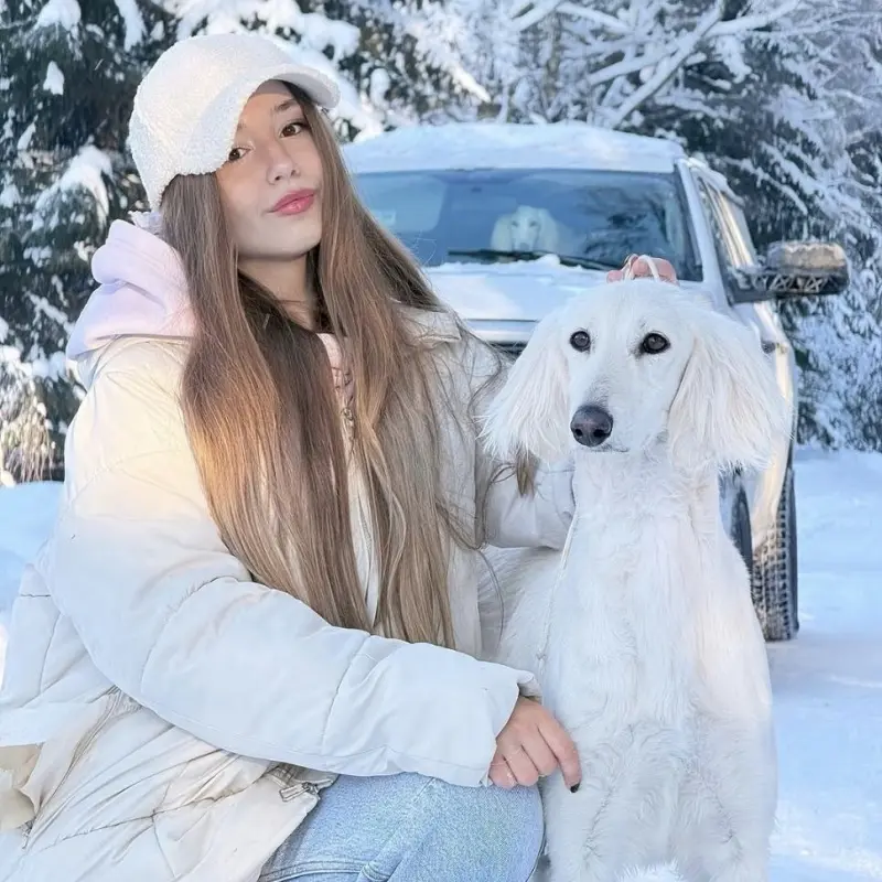 Щенок салюки  | image 2