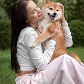 Щенки Сиба Ину ( Шиба )  | image 10