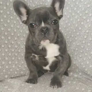 Светлана  - Домашние.by