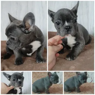 Светлана  - Домашние.by