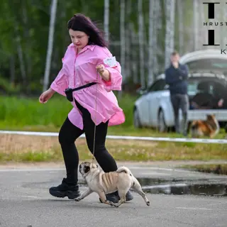 Алевтина - Домашние.by
