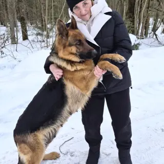 Ирина - Домашние.by